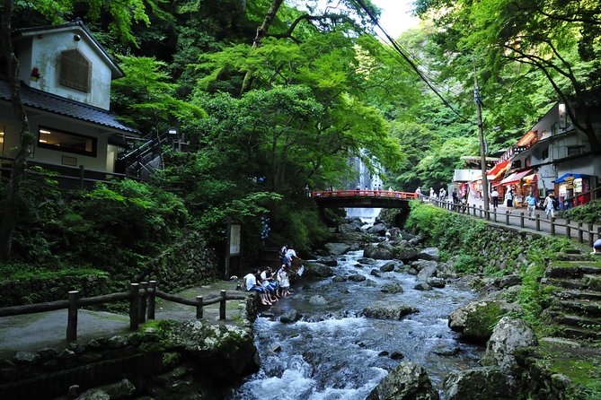 Nature Walk at Minoo Park, the Best Nature and Waterfall in Osaka - Stop 3: Minoo Waterfall, the main event you came for