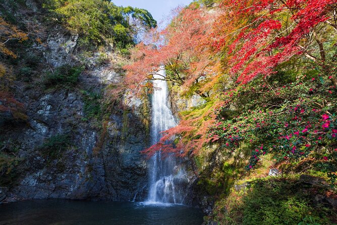 Nature Walk at Minoo Park, the Best Nature and Waterfall in Osaka - The four-hour hike setup, pace, group size, and what that means for you