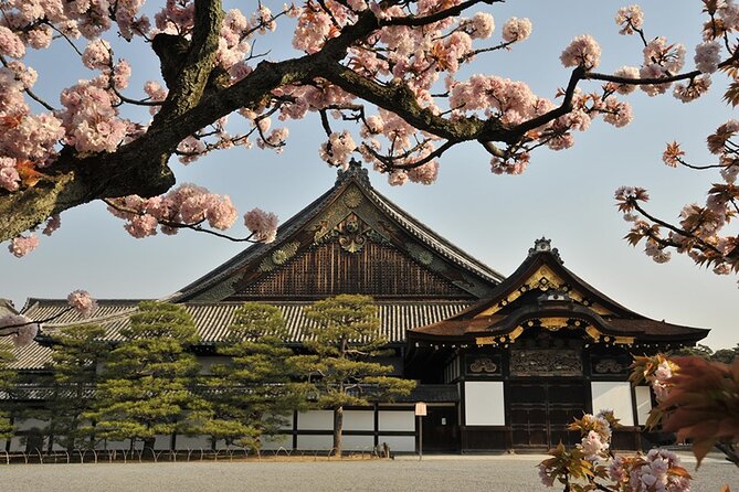 Nijo Castle Samurai Inside Story — Top-Rated Guide (Max 8) - Practical Fit: Who Should Book This Tour, and Who Might Skip