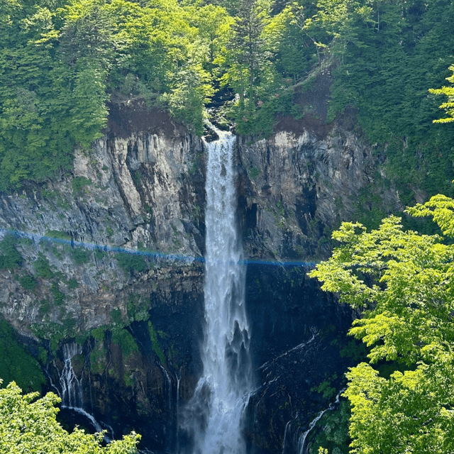 Nikko Heritage & Nature Day Trip from Tokyo - A Private Van to Nikko’s UNESCO Power Stops