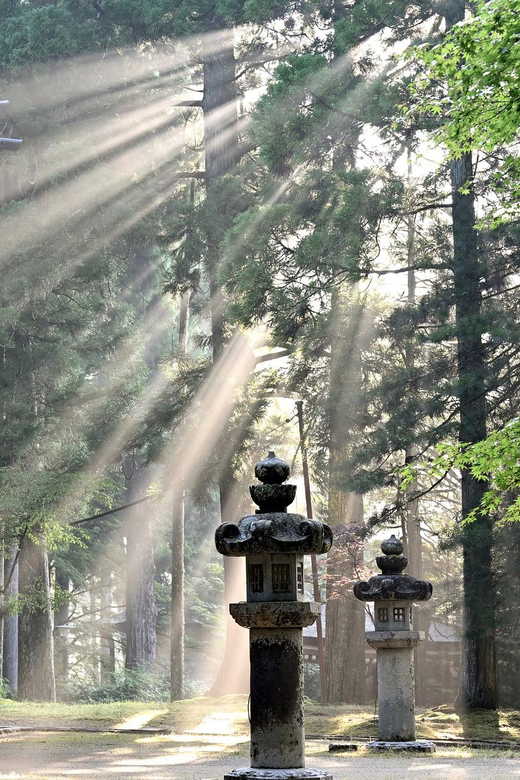 Nikko Heritage & Nature Day Trip from Tokyo - Kegon Falls: Nearly 100 Meters of Water in a Forest Gorge