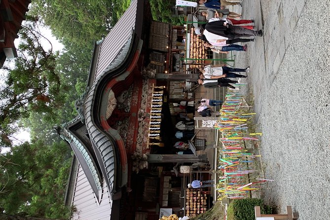 Nikko one day trip GREEN NUMBER PLATES - Price and value check for small groups