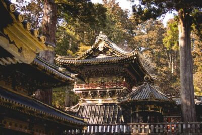 Nikko Private Day Tour from Tokyo with English-Speaking Driver