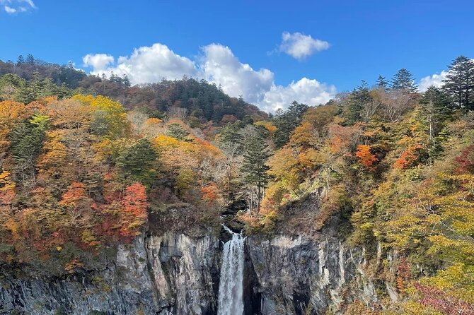Nikko Private Day Tour with Guide by Car (from Tokyo) - How “customize the trip” really helps in a 10-hour day