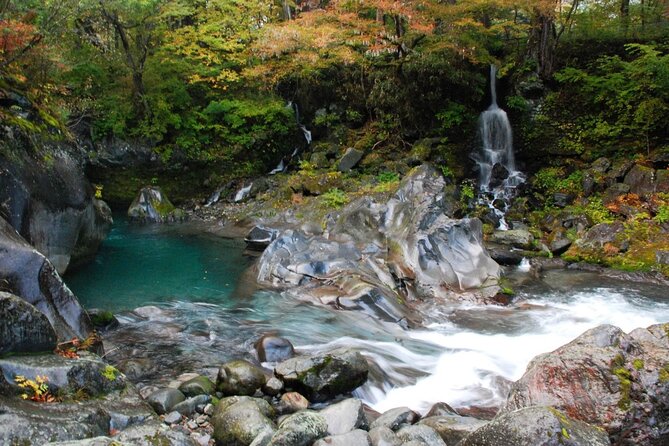 Nikko Private SightSeeing Day Tour With Guide (From Tokyo) - Should you book this Tokyo to Nikko private day tour?