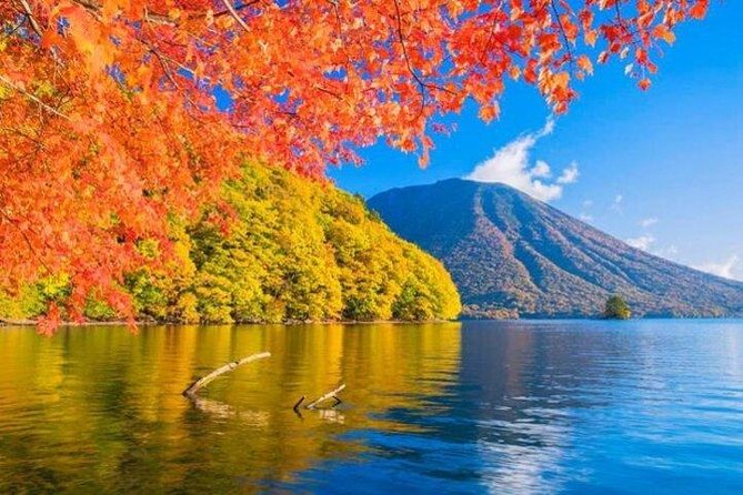 Nikko Private Tour from Tokyo with Licensed Guide and Vehicle - Irohazaka Route and Senjogahara: winding roads, anime fame, and myth