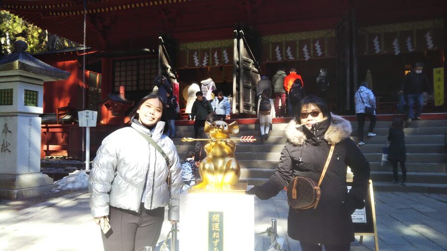 Nikko: Private Walking Tour with Local Guide - Nikko in 6 Hours: how this private walk really works