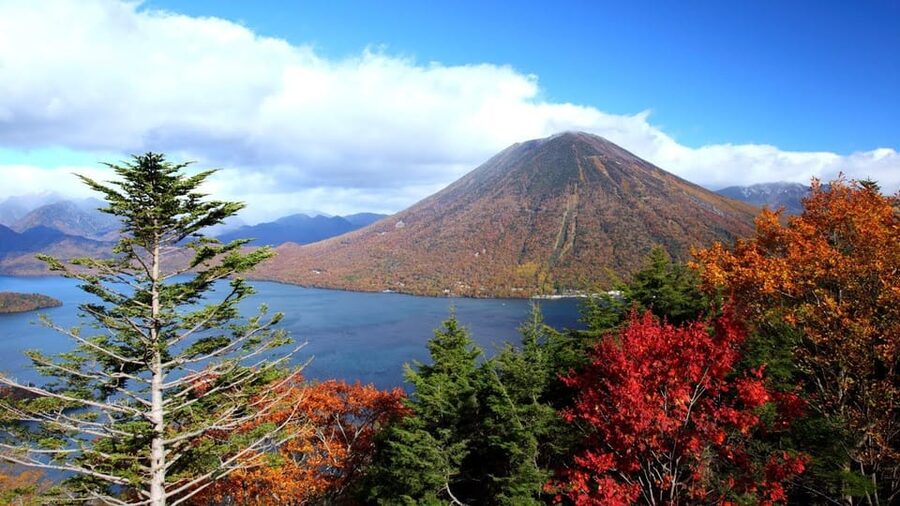 Nikko: Private Walking Tour with Local Guide - Your guide as the real product, not just the itinerary
