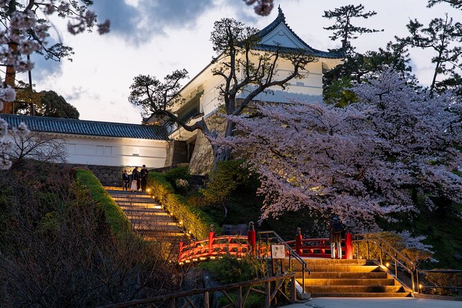 Odawara Castle and Town Guided Discovery Tour - Stop 2: the town walk, where the stories meet the street