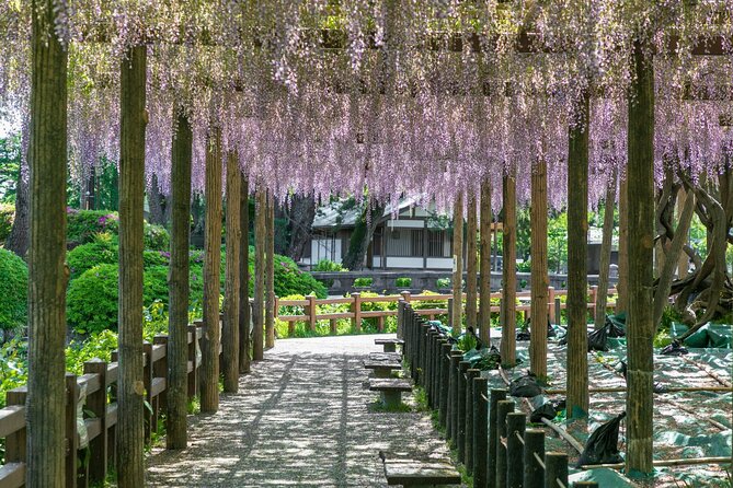 Odawara Castle and Town Guided Discovery Tour - Tokiwakimon Samurai Museum: real armor and swords, not just symbols