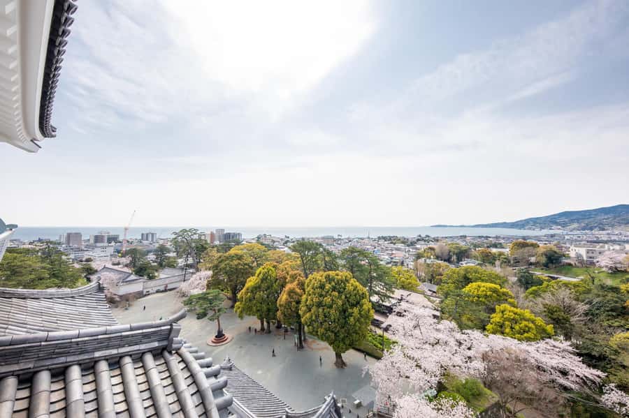 Odawara: Guided Ninja & Samurai Tour of Odawara Castle - Ninja Museum after regular hours: hands-on training that starts with basics
