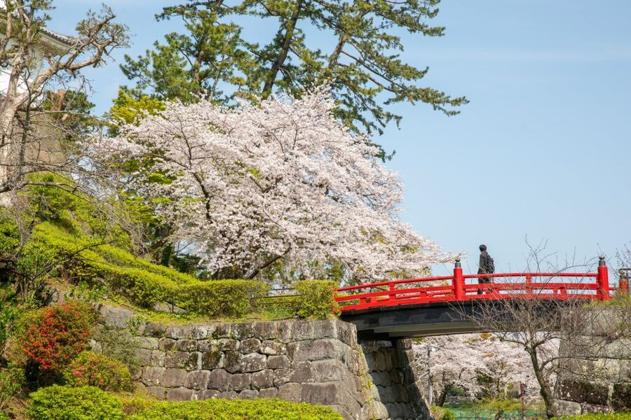 Odawara: Odawara Castle Tenshukaku Entrance Ticket - Key Points Before You Go