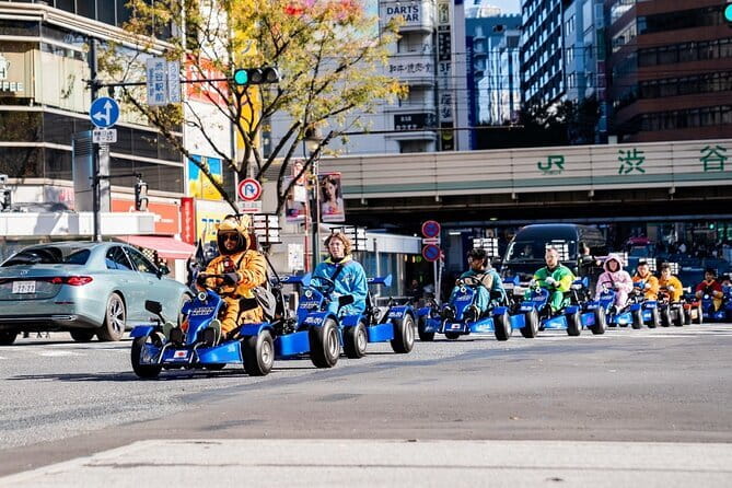 Official Japan Go-Kart Through Shibuya / Shinjuku (IDP Required) - The Paperwork Gate: International Driving Permit Requirements That Matter