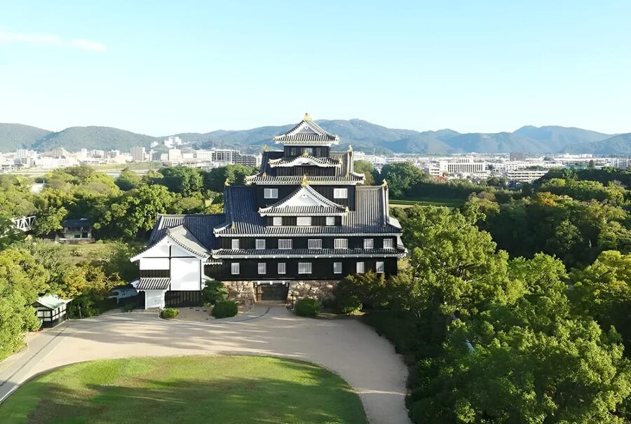 Okayama Castle Admission Ticket - First look outside: black walls, gold leaf tiles, and smart photo spots