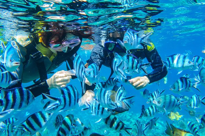 [Okinawa Blue Cave] Snorkeling with Private Guide+ Free Photos - What You Actually Do at Okinawa Blue Cave Snorkeling