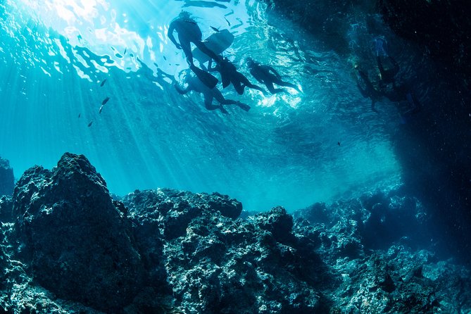 [Okinawa Blue Cave] Snorkeling with Private Guide+ Free Photos - Weather and Cave Access: How to Plan Without Stress