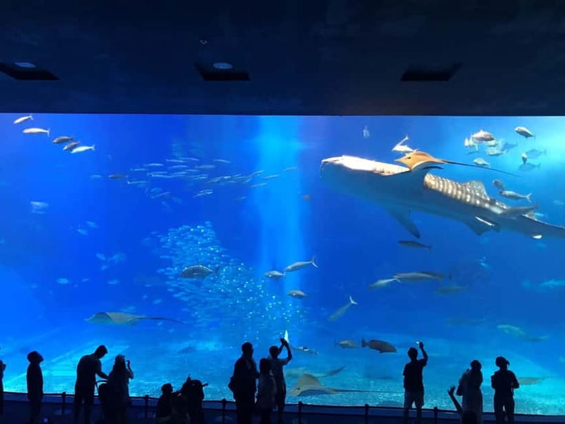 Okinawa: Churaumi Aquarium, Ryukyu Village & Manza Bus Tour - Practical tips so the audio works and you do not get stressed