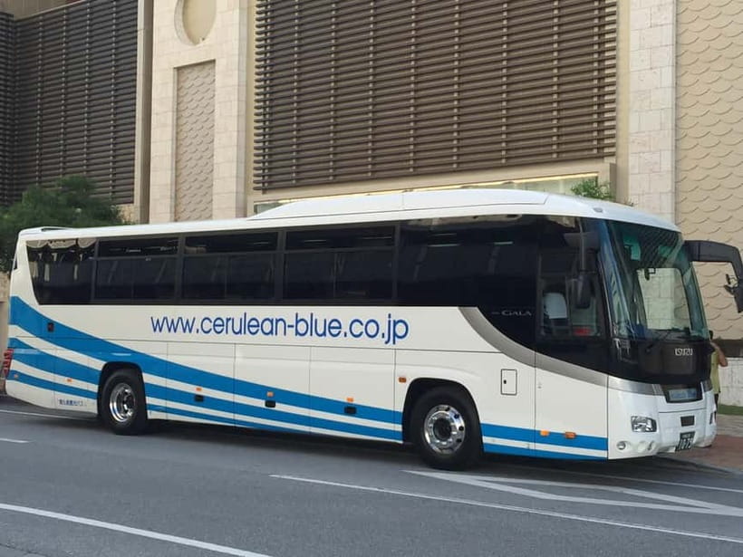 Okinawa Churaumi or Tropical, Kouri American Village BusTour - Ocean Expo Park: the two-track decision that shapes your whole day