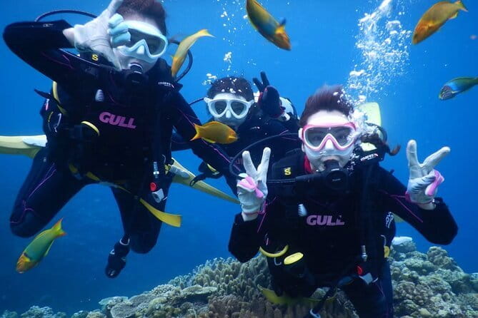 Okinawa: Discover SCUBA Diving 2 Dives at Minna, Sesoko or Motobu - Quick hits before you go