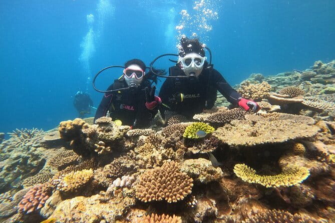 Okinawa: Discover SCUBA Diving 2 Dives at Minna, Sesoko or Motobu - The Real Itinerary: From Yamagawa Pier to Two Different Water Stops