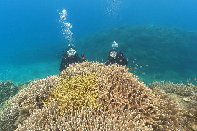 Okinawa: Discover SCUBA Diving 2 Dives at Minna, Sesoko or Motobu - Your Instructor and the Beginner-Friendly VIP Care Approach