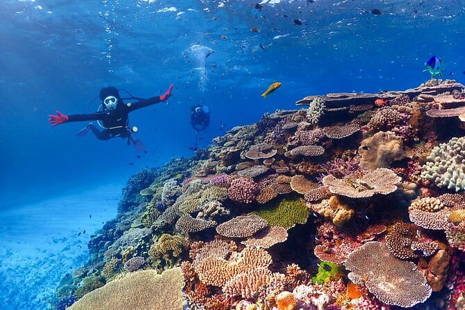 Okinawa: Discover SCUBA Diving 2 Dives at Minna, Sesoko or Motobu - Moving Between Sessions: Timing, Comfort, and Why Change Clothes Matters