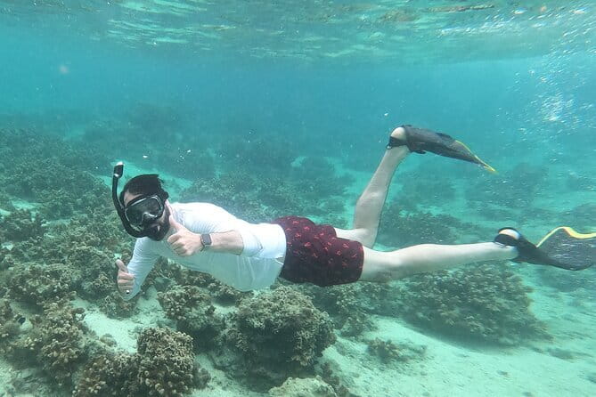 Okinawa: Discover SCUBA Diving 2 Dives at Minna, Sesoko or Motobu - Health and Comfort: Who Should Think Twice Before Booking