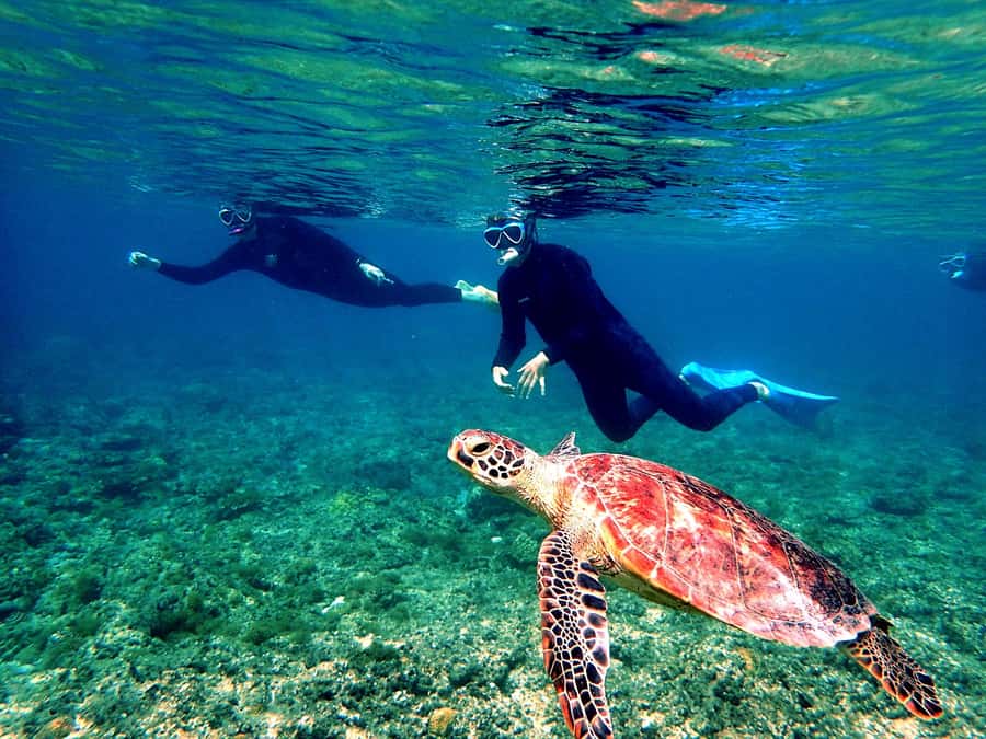 Okinawa: From Naha: Kerama Islands 1-day snorkeling tour - Gear, wetsuits, heat blocks, and staying comfortable in winter water