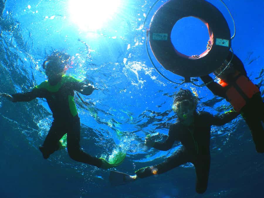Okinawa: From Naha: Kerama Islands 1-day snorkeling tour - Lunch choices, what to pack, and how to avoid the hungry, cranky problem