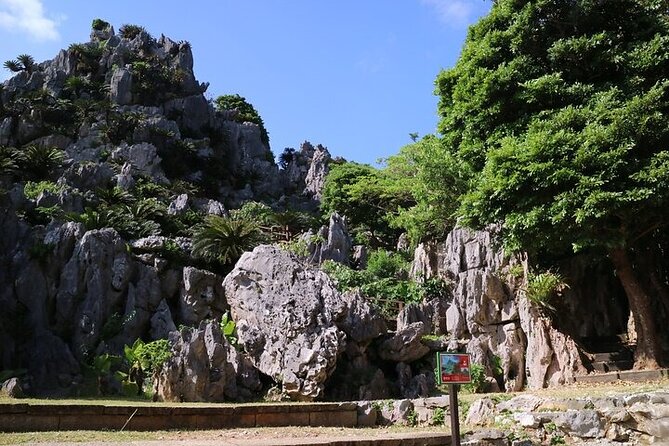 Okinawa Hip-Hop Bus C Course Tour to Northern Island - Key Points Worth Noticing
