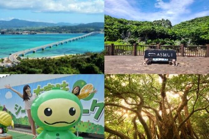 Okinawa Hip-Hop Bus C Course Tour to Northern Island - Getting There: 8:00 AM Start and Multiple Drop-Offs