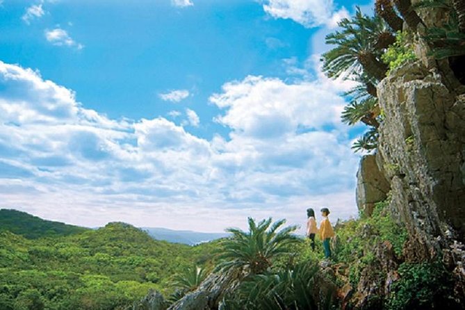 Okinawa Hip-Hop Bus C Course Tour to Northern Island - Cape Hedo: Okinawa’s Northernmost Ocean Views