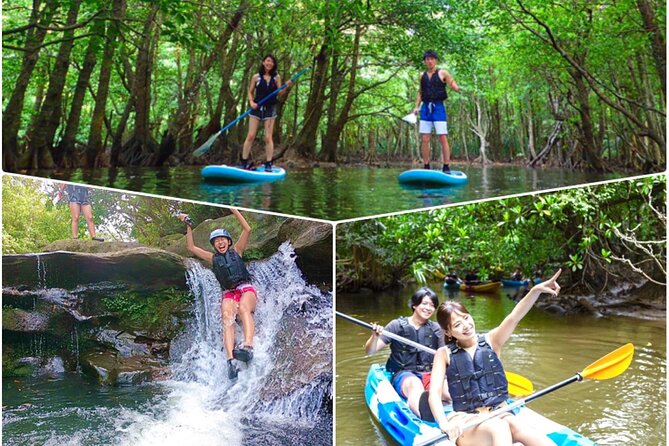 Okinawa Iriomote Mangrove SUP or Canoe and Splash Canyoning Tour - Why this Iriomote mangrove + canyoning combo works so well