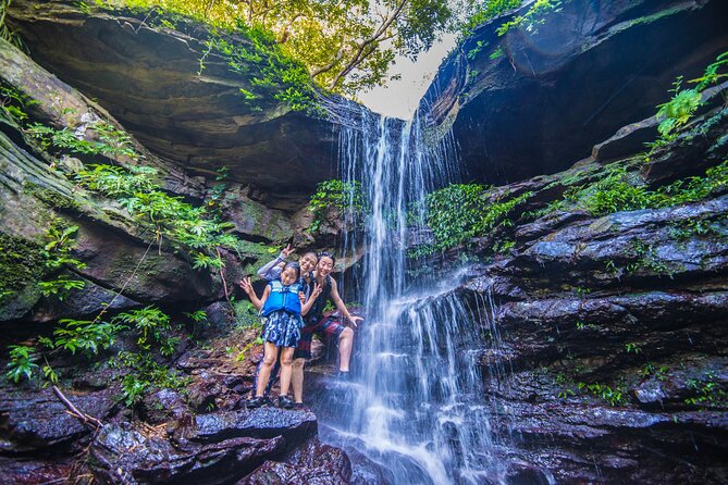 Okinawa Iriomote Mangrove SUP or Canoe Tour - Key things to know before you go