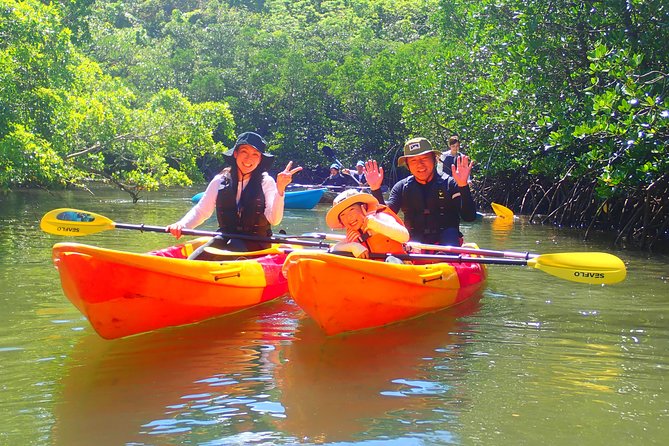 Okinawa Iriomote Mangrove SUP or Canoe Tour - Stop 1 on Urauchi River: quiet water and close mangrove watching