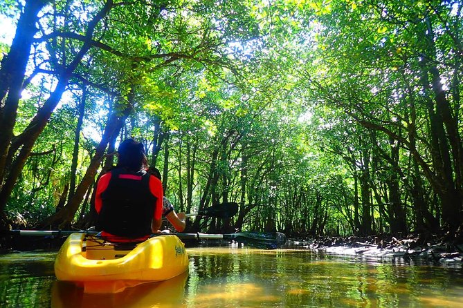 Okinawa Iriomote Mangrove SUP or Canoe Tour - Stop 2 on Iriomote-jima: narrow channels and hands-on guide time