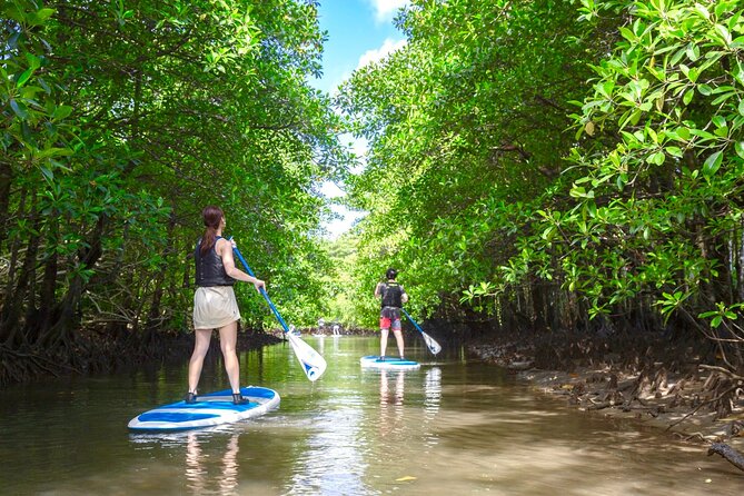 Okinawa Iriomote Mangrove SUP or Canoe Tour - Free waterproof photo data: the easiest souvenir you will actually use