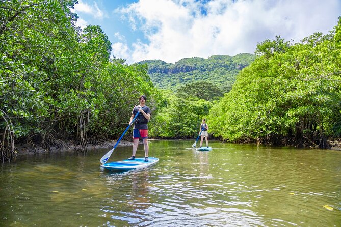 Okinawa Iriomote Mangrove SUP or Canoe Tour - What to wear, what to bring, and why damp clothes matter