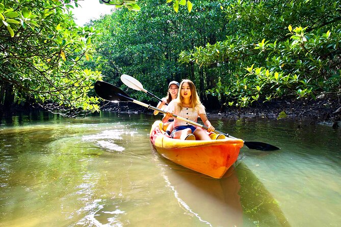 Okinawa Iriomote Mangrove SUP or Canoe Tour - Safety basics: life jackets, light rain, and following the guide