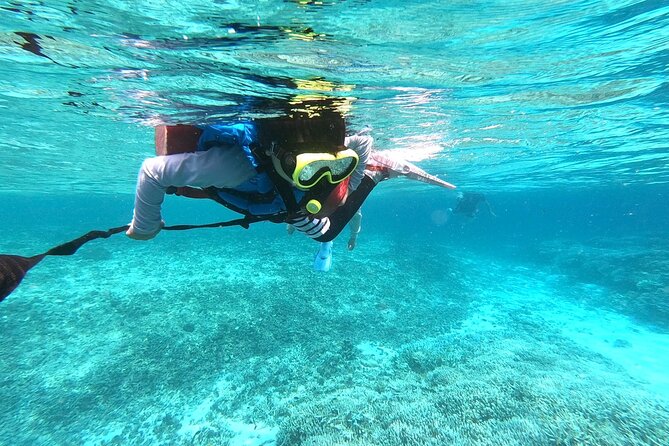 Okinawa Iriomote Snorkeling Tour at Coral Island - How long you’re really in the water