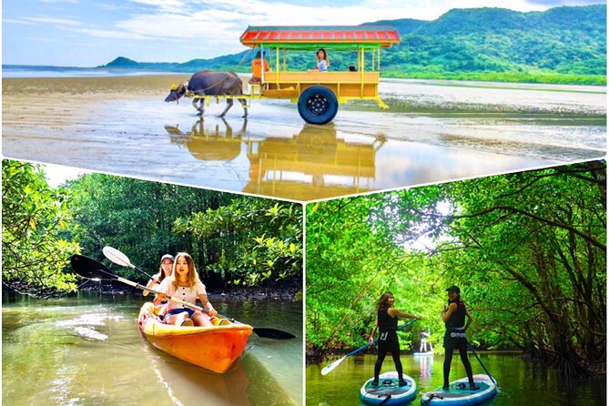 Okinawa Iriomote SUP or Canoe and Sightseeing in Yubujima Island - Key points to decide fast