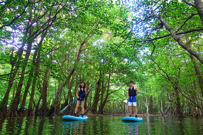 Okinawa Iriomote SUP or Canoe and Sightseeing in Yubujima Island - Included value that makes the day easier