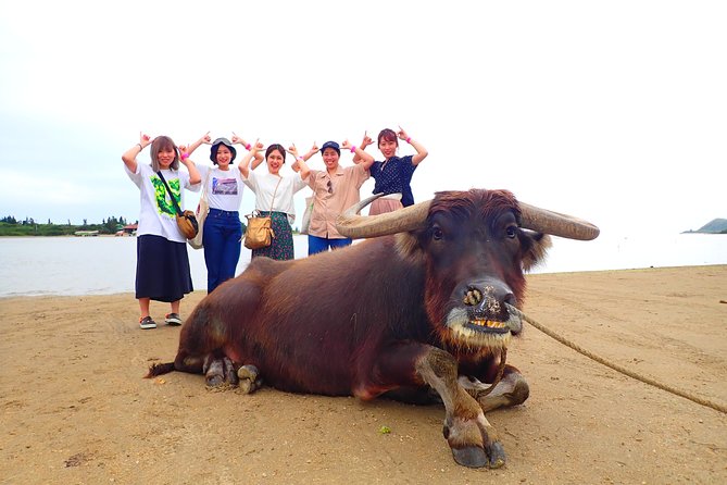 Okinawa Iriomote SUP or Canoe and Sightseeing in Yubujima Island - Photos from a waterproof camera, and why you should care