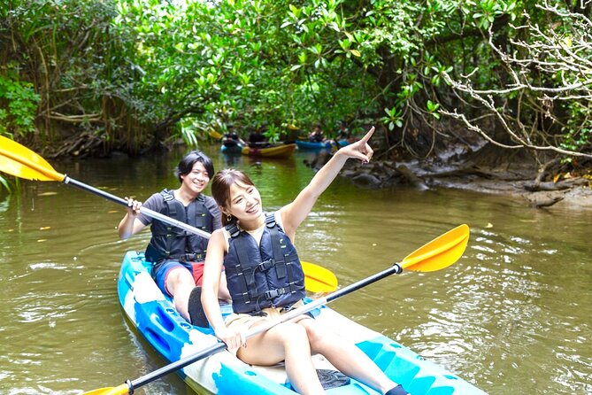 Okinawa Iriomote SUP or Canoe and Sightseeing in Yubujima Island - Weather, tides, and the real schedule flexibility