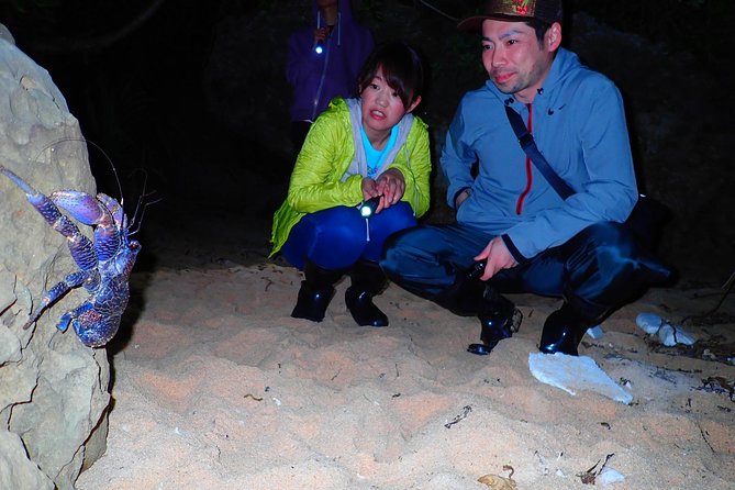 Okinawa Iriomotejima Night Adventure Tour - Coconut Crabs: The Attraction People Talk About