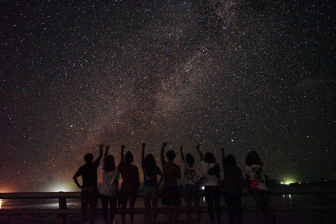 Okinawa Ishigaki Island Night Starry sky and Jungle night tour - Key Points To Know Before You Go