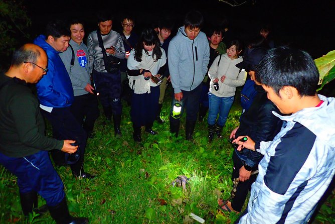 Okinawa Ishigaki Island Night Starry sky and Jungle night tour - Starry Sky Under a Protected Dark Area