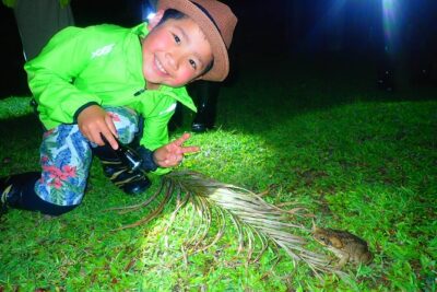 Okinawa Ishigaki Island Night Starry sky and Jungle night tour