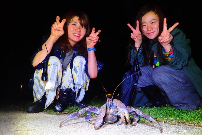 Okinawa Ishigaki Island Night Starry sky and Jungle night tour - Eco-Friendly Approach and How to Behave Responsibly