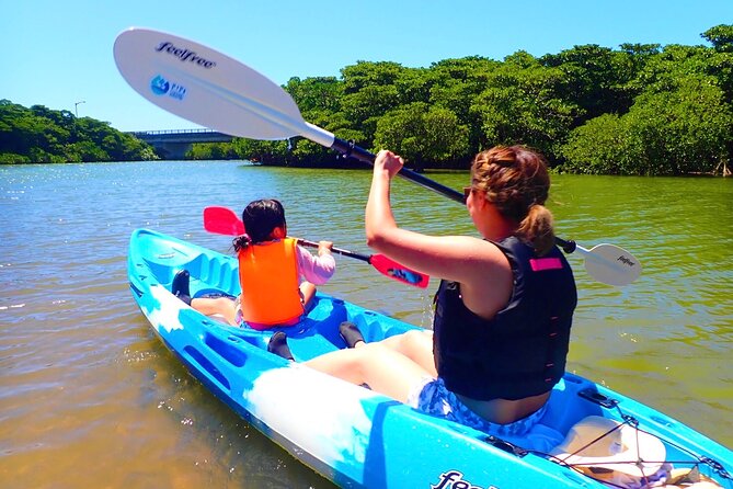 Okinawa Ishigaki Mangrove SUP or Canoe Tour - Key highlights before you go